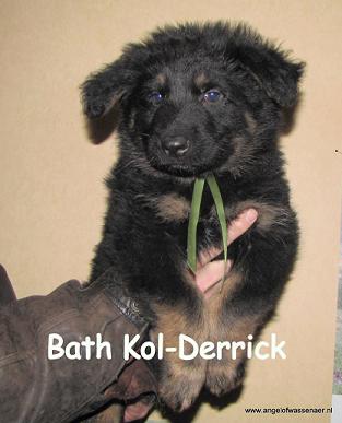 Bath Kol-Derrick